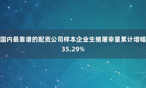 国内最靠谱的配资公司样本企业生猪屠宰量累计增幅35.29%